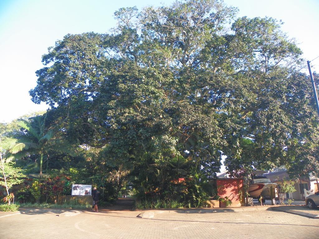 Lake St Lucia Lodge Exterior photo